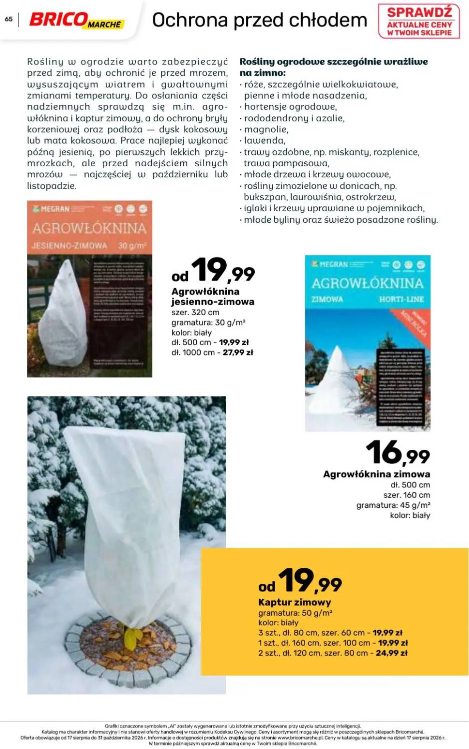 Gazetka – strona 65