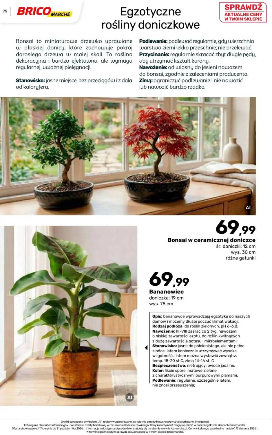 Gazetka – strona 75